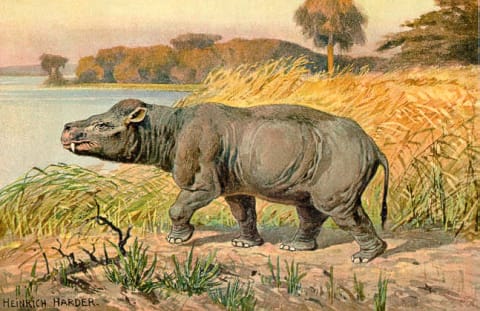 A rendering of 'Coryphodon' by paleoartist Heinrich Harder, circa 1920.