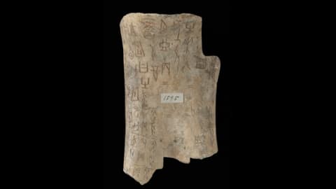 An oracle bone from the Couling-Chalfant collection at the British Library.