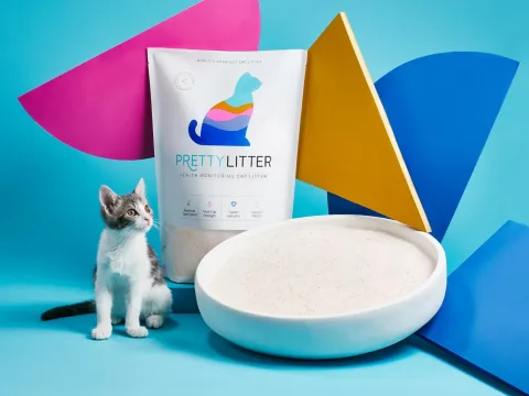 PrettyLitter Cat Litter