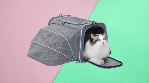 Petsfit Expandable Soft-Sided Pet Carrier