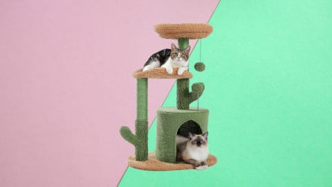 PAWZ Road Cat Tree 32-Inch Cactus Cat Tower