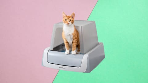 PetSafe ScoopFree Complete Plus Self-Cleaning Cat Litter Box