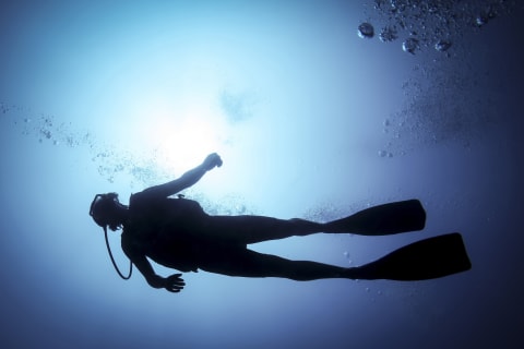 Scuba stands for “self-contained underwater breathing apparatus.”