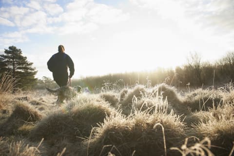 Grassy areas can still harbor ticks in winter.