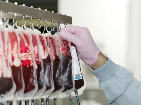 Bags of donated blood at a blood bank.