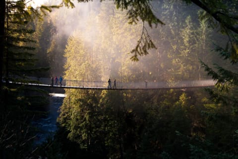 People walk amid the temperate rainforest on the Capilano Suspension Bridge.