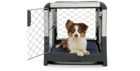 Diggs Revol Dog Crate