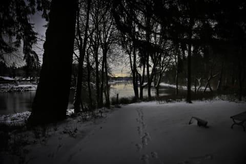 Footprints from an unidentified person led from the woods to the farmhouse.