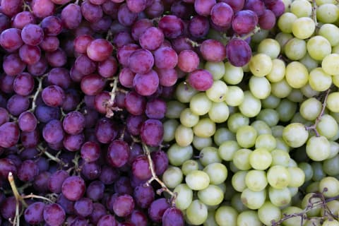 Modern grapes come in several colors.