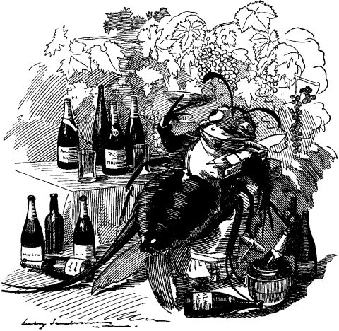 "The Phylloxera, a true gourmet, finds out the best vineyards and attaches itself to the best vines." (1890)