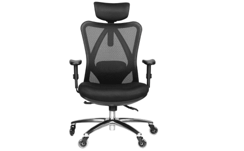 Ergonomic Office Chair from Duramont. 