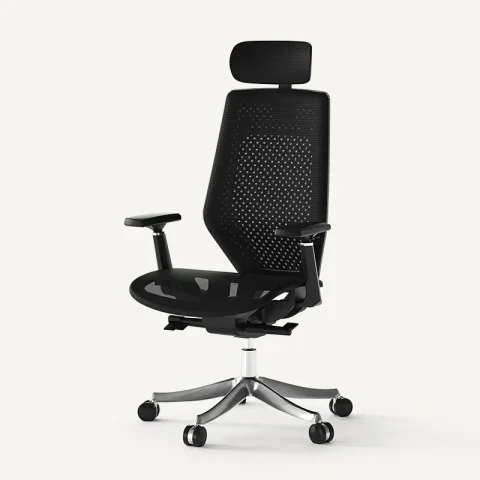 Classic Pro Chair by FlexiSpot 