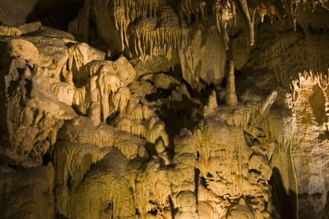 Mammoth Cave National Park.