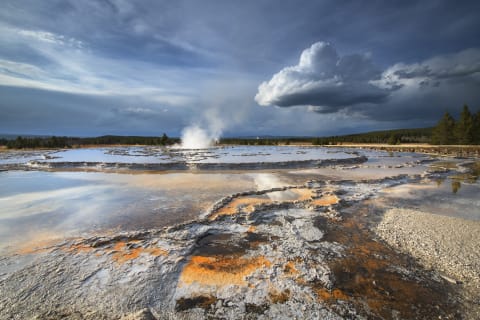 Yellowstone National Park.