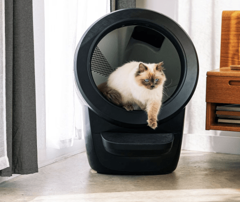 Litter-Robot 4 Automatic Self-Cleaning Cat Litter Box