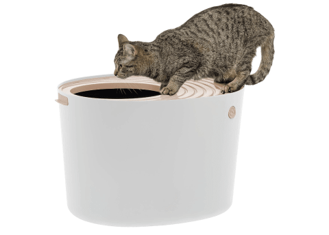 IRIS USA Top Entry Cat Litter Box