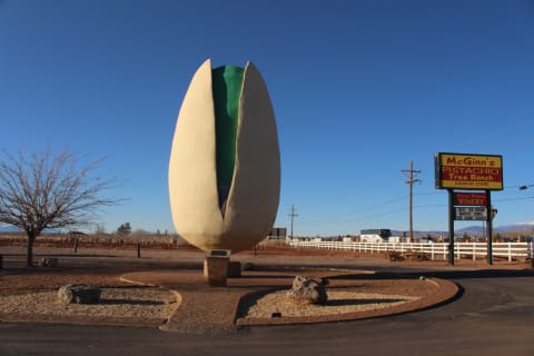 The World's Largest Pistachio in New Mexico.