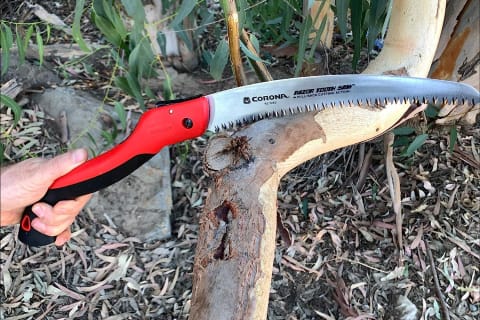 Corona Folding Pruning Saw