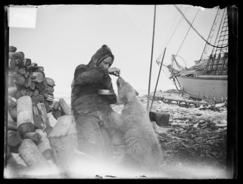 Amundsen with Marie in June 1920.