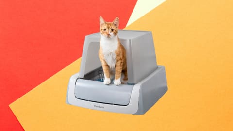 Hate scooping litter? Say hello to your new favorite purchase, this automatic litter box from PetSafe. 