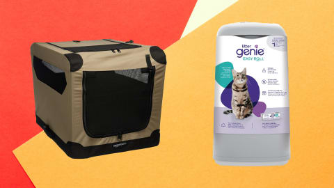 Bundle up on value with these solidly good pet deals.