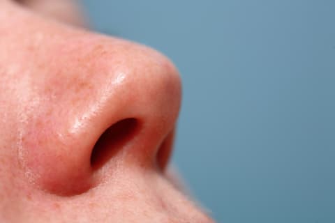 ‘Nose’ can be used as a slang term for an informant.