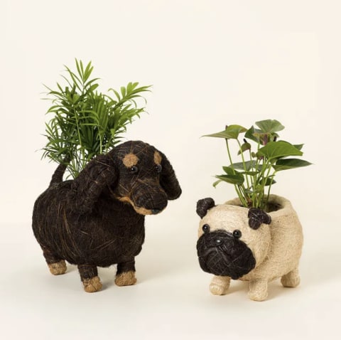 Coconut Fiber Dog Planter