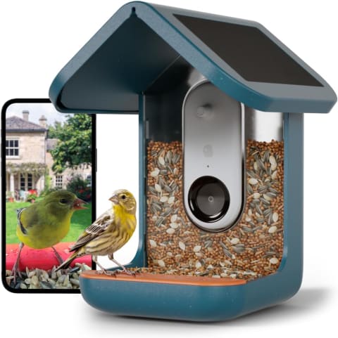 Bird Buddy Smart Feeder with Camera