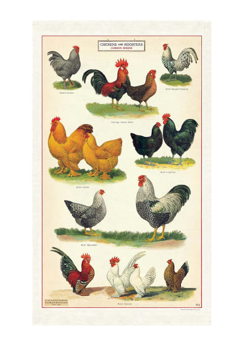 Cavallini Papers & Co. chickens tea towel