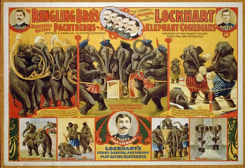 A poster advertising Ringling Bros.’s “marvelous acting pachyderms” from the Library of Congress’ collection