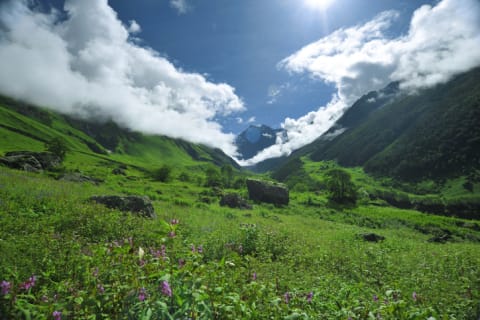 Valley of Flowers in Uttarakhand, India