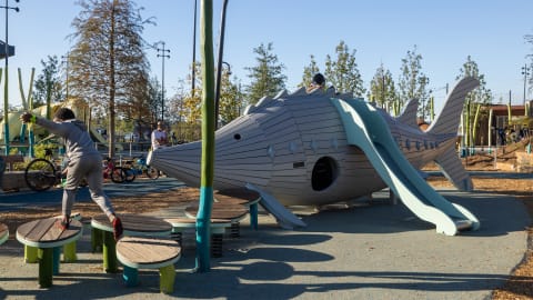 This sturgeon-themed play structure is just one of many delights at Memphis's the Life on the River playground. 