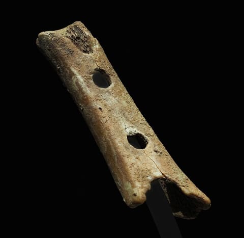 The Divje Babe flute, discovered in Slovenia, was made from a cave bear bone about 43,000 years ago.