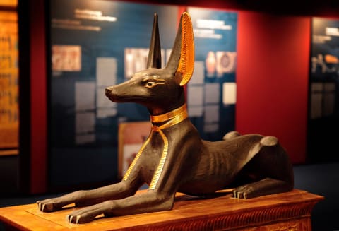 A sculpture of Anubis, Egyptian god who cares for the dead, at the King Tut exhibit.