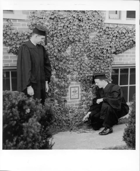 Bates College students planting the ivy in 1943.