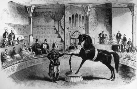 American trick horse Black Eagle performing before Queen Victoria and her family at the Great United States Circus, 1858.