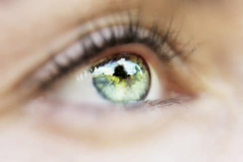 The pupil is surrounded by the green iris.