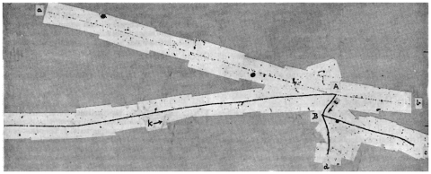 A detail of the pions’ tracks on a photographic plate that led to the discovery of the kaon.