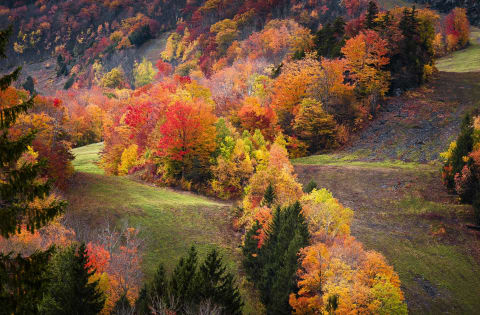 The Catskills.