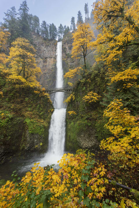 Multnomah Falls in the Columbia River Gorge.