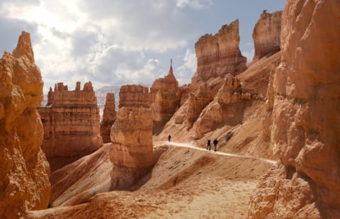 Parkgoers can now set availability alerts for tours of Bryce Canyon National Park.