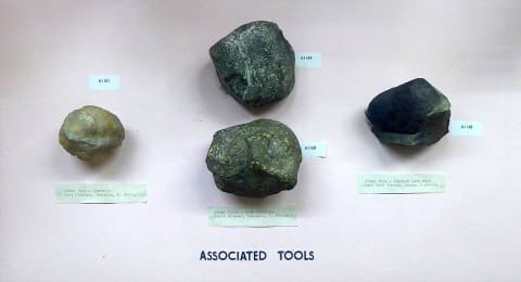 Casts of stone tools found at Olduvai Gorge, on display at the Horniman Museum, London.