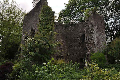 Tiverton Castle ruins.