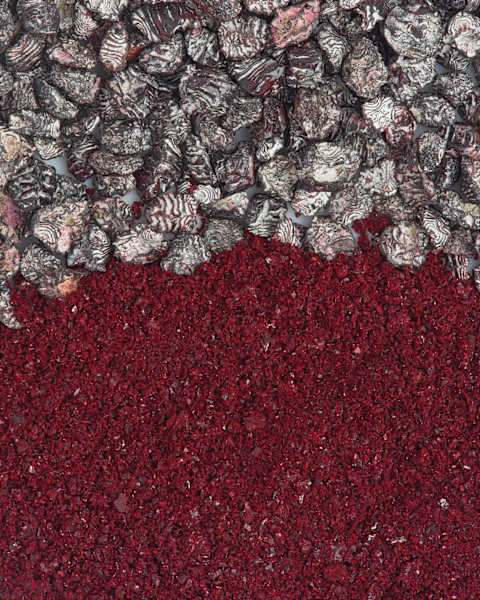 Dried and crushed cochineal insects.