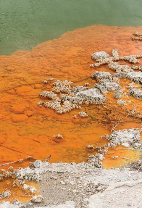 Orpiment deposits surrounding Champagne Pool at the Wai-O-Tapu geothermal area in New Zealand.