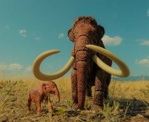 One of the mammoths comes with a baby calf.