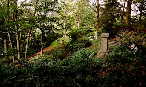 The landscape of Mount Auburn Cemetery.