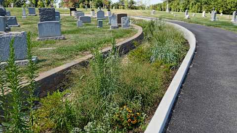 A completed rain garden, which took over one lane of a formerly two-lane roadway, at Mount Olivet Cemetery.