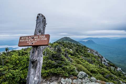 A trail marker along the AT in Maine.