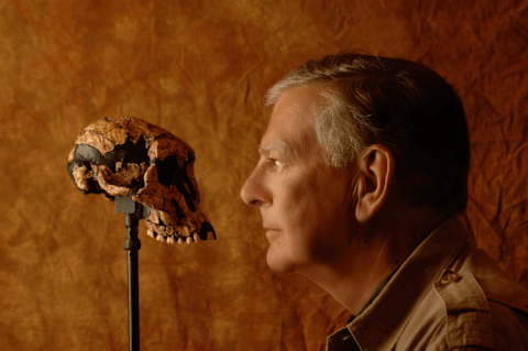 Donald Johanson, founding director of the Institute of Human Origins at Arizona State University, faces specimen AL 822-1, a reconstructed skull of an ‘Australopithecus afarensis.’